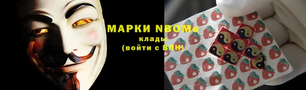 стафф Осташков