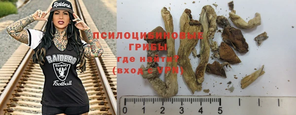 mix Осинники