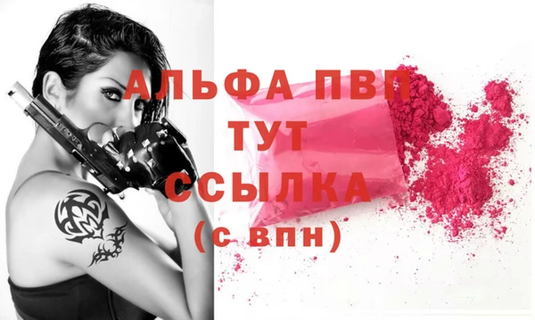 стафф Осташков
