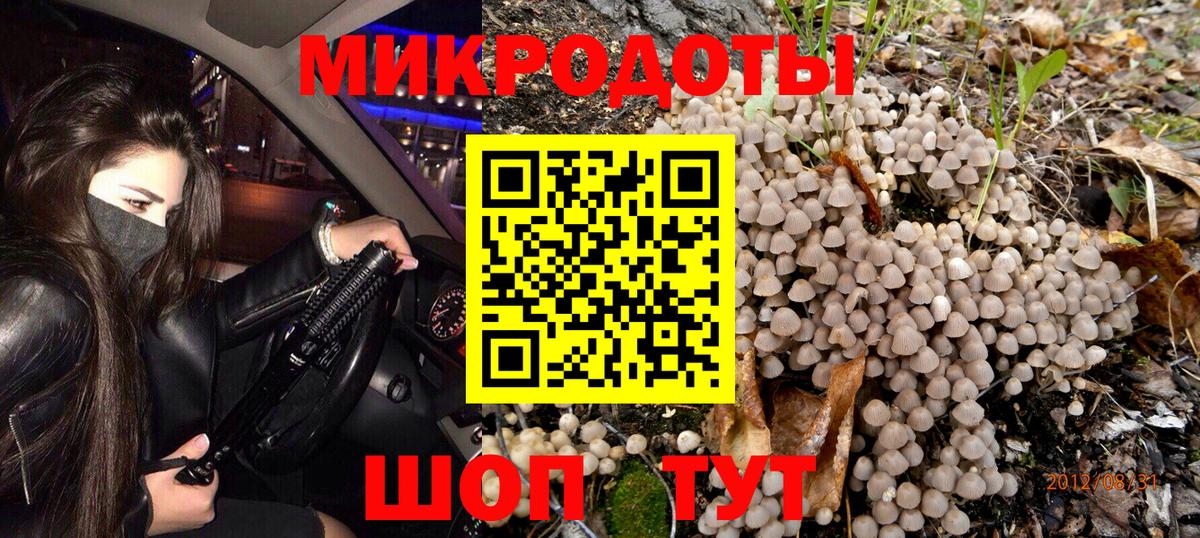 Клин  Псилоцибиновые грибы Psilocybine cubensis  Вход с VPN 